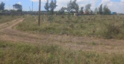 Prime Half-Acre Plot in Malaa, KBC Area