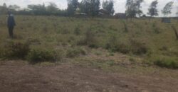 Prime Half-Acre Plot in Malaa, KBC Area