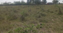 Prime Half-Acre Plot in Malaa, KBC Area