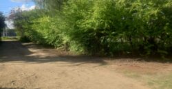 Prime 1.5-Acre Commercial Plot on Namanga Road