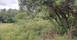 Prime Half-Acre for Sale in Karen, Ndovu Road