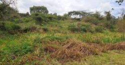 Prime Half-Acre for Sale in Karen, Ndovu Road