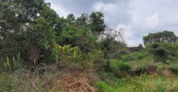 Prime Half-Acre for Sale in Karen, Ndovu Road