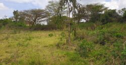 Prime Half-Acre for Sale in Karen, Ndovu Road