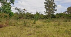 Prime Half-Acre for Sale in Karen, Ndovu Road
