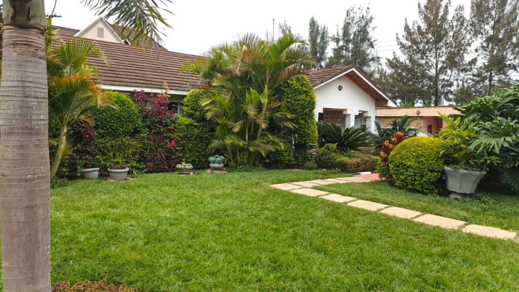 Kenyan Real Estate Investment